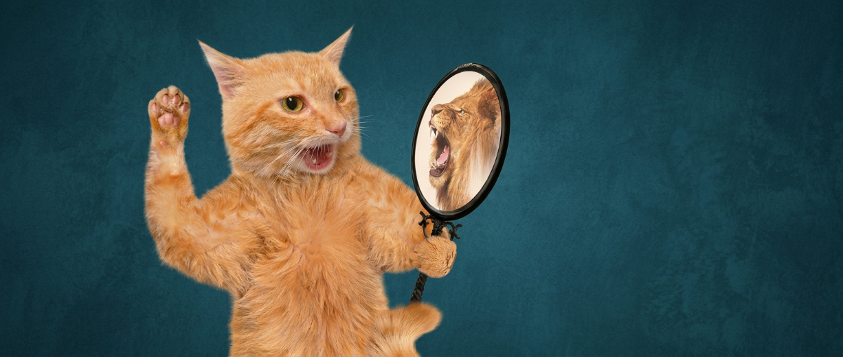 2 Jugendliche beim Wandern auf einem Berg - Coping bei Kindern & Jugendlichen 