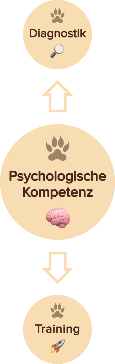 Kernangebot Kernangebot